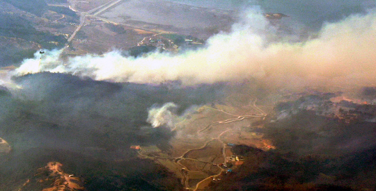 3일 충남 홍성 산불 현장. 윤성호 기자