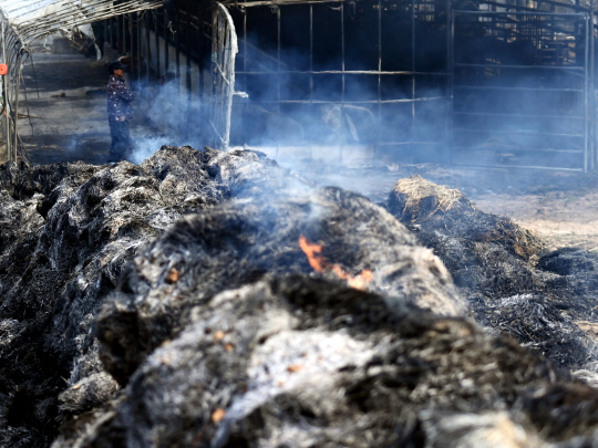 3일 오전 충남 홍성군 서부면 민가 피해 현장에서 집 주인이 피해 상황을 확인하고 있다. 윤성호 기자