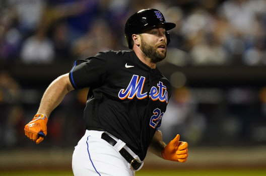 MLB 뉴욕 메츠에서 방출된 다린 러프. AP 뉴시스