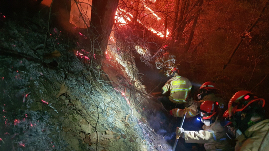 경북도가 올 1월 신설한 조직인 ‘119산불특수대응단’ 대원들이 산불을 진화하고 있다. 경북도청 제공
