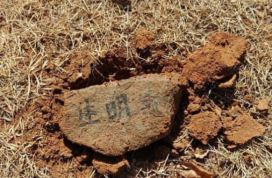 이 대표 부모 묘에서 발견된 돌. 페이스북 캡처