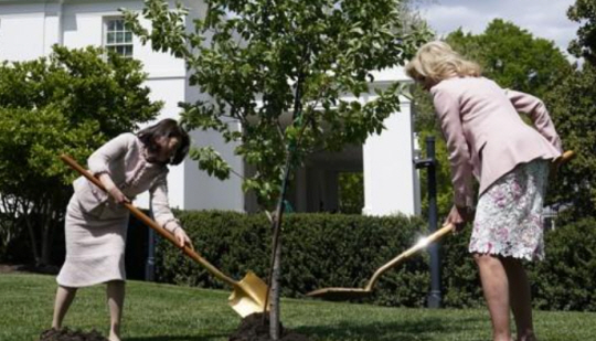 왕벚나무 식수하는 유코 여사와 질 여사. AP 연합뉴스