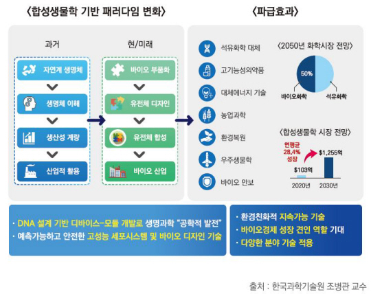 전통 생물학에 IT와 공학 기술이 결합해 DNA를 맘대로 편집,합성함으로써 생약 등 단백질 화합물을 생산하고 맞춤형 생물 제작에 도전하는 합성생물학이 21세기 총아로 떠올랐다. 과학기술정보통신부 제공