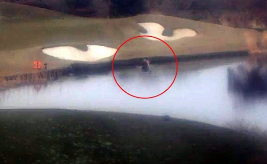 제주의 한 골프장 내 ‘워터 헤저드’에 잠수복을 입고 들어가 바닥에 있는 골프공을 건져내는 피의자 모습. 연합뉴스