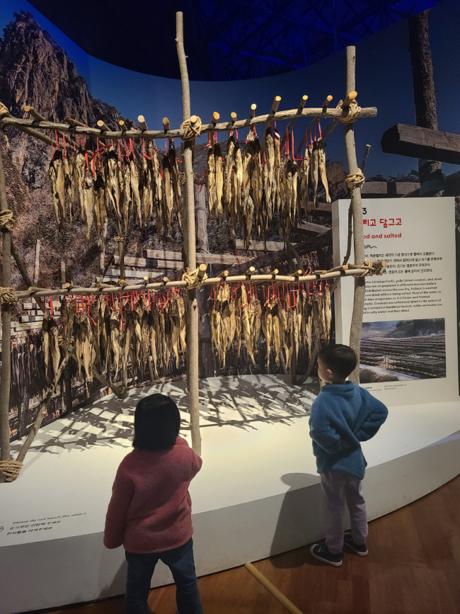 ‘조명치 해양문화특별전’에 마련된 황태 덕장을 살펴보고 있는 어린이 관람객들의 모습.