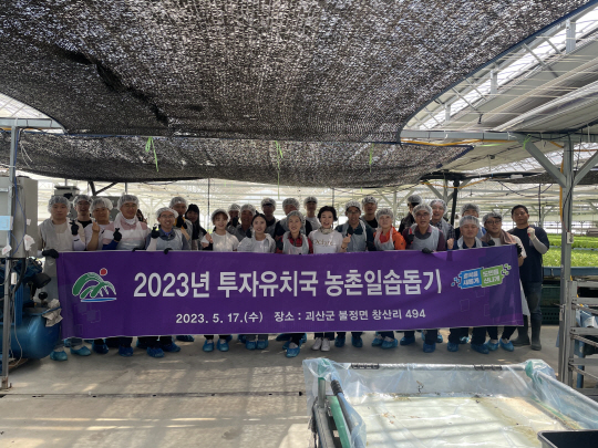 충북 투자유치국 직원들이 17일 괴산군 불정면 농가에서 농촌일손돕기를 실시했다. 충북도 제공