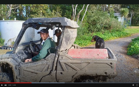 구조된 개와 주인. 1뉴스 사이트 캡처