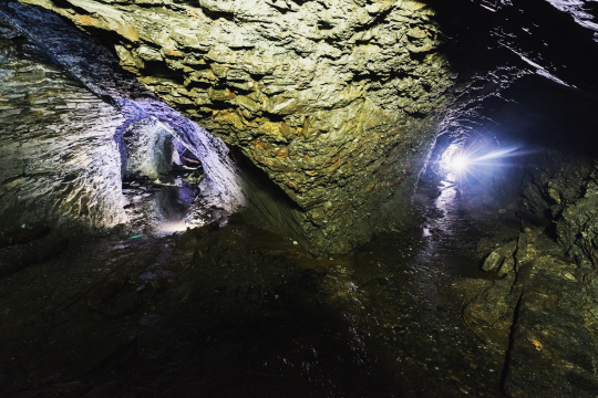 기사와 직접 관련없는 사진. 게티이미지 뱅크