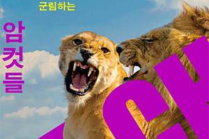 암컷-수컷역할 따로없어… ‘젠더 이분법’ 깨는 자연[과학자의 서재]