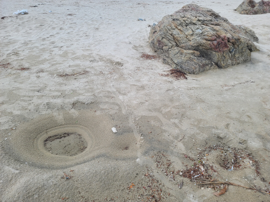 지난 10일 벼락 사고가 발생한 강원 양양군 설악해변 백사장에 나타난 동그란 구덩이. 사고 당일 바위 주변에 벼락이 떨어졌다고 말하는 서퍼들은 이 구덩이는 예전에는 없던 것으로, 벼락 흔적이라고 말했다. 연합뉴스