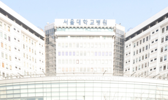 뉴시스