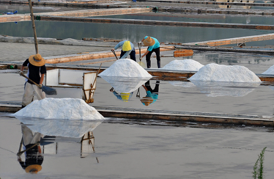 천일염 생산이 한창인 전남 신안군 염전. 신안군청 제공