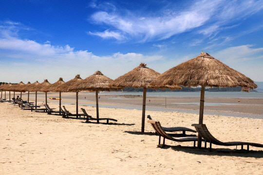 오는 7월 15일 개장할 예정인 전남 신안군 짱뚱어 해수욕장 전경. 전남도청 제공. 문화일보 자료 사진