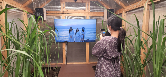 정연두 작가의 영상 설치작‘사진 신부’ 를 둘러보며 한 관람객이 사진을 찍고 있다. 장재선 선임기자