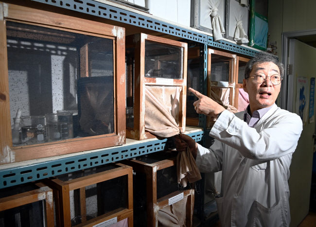 이동규 고신대 보건환경학부 석좌교수가 지난 13일 부산 영도구 고신대 영도캠퍼스 실험실에서 사육 중인 모기 성충을 가리키면서 모기의 생태에 대해 설명하고 있다.  부산 = 윤성호 기자