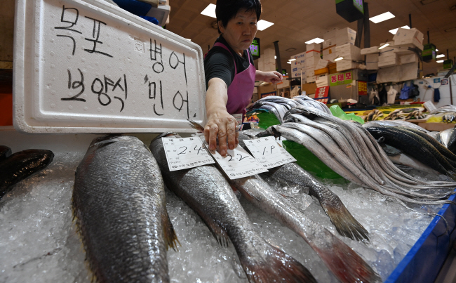 11일 오전 서울 동작구 노량진 수산물도매시장에서 한 상인이 복날의 대표적 생선인 민어의 중량을 표시하고 있다.  백동현 기자