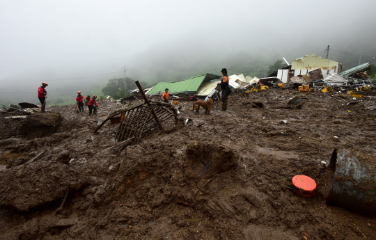 16일 오전 산사태가 발생한 경북 예천군 효자면 백석리 한 마을에 실종자 수색 작업이 진행되고 있다. 뉴시스