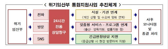 서울시 위기임산부 통합지원사업 추진체계. 서울시청 제공