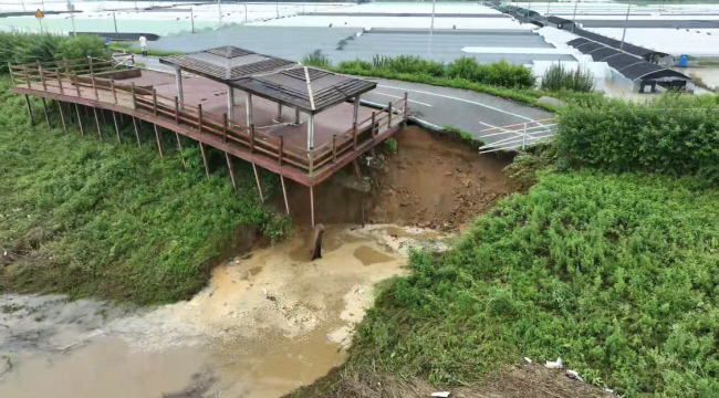 사흘째 이어지는 기록적인 폭우로 16일 충남 논산시 성동면 우곤리 인근 금강과 우곤리 마을 사이에 놓인 제방이 무너져 내리고 있다.  연합뉴스