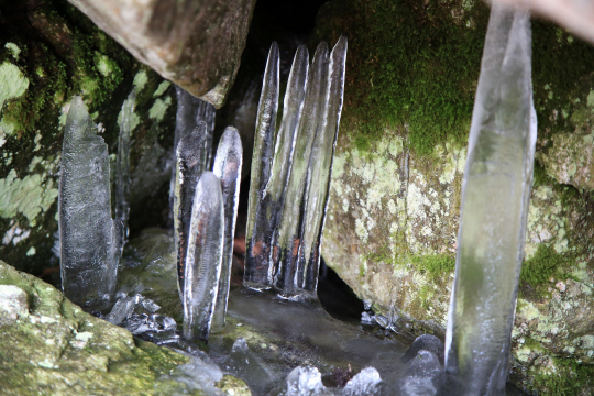 경남 밀양시 산내면에 위치한 얼음골. 밀양시청 제공