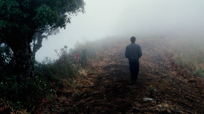 아피찻퐁 위라세타꾼 감독의 2008년 단편 ‘뱀파이어’의 한 장면. 국립현대미술관 서울관에서 9월 3일까지 상영된다.