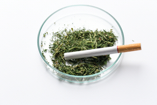 게티이미지뱅크