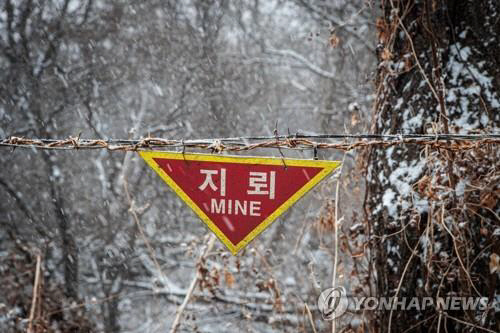 2021년 1월 19일 함박눈이 내린 강원도 철원군 민간인통제선 인근 미확인지뢰지대에서 눈이 철조망 위에 쌓이고 있다. 연합뉴스