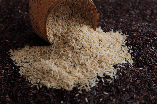 게티이미지 뱅크