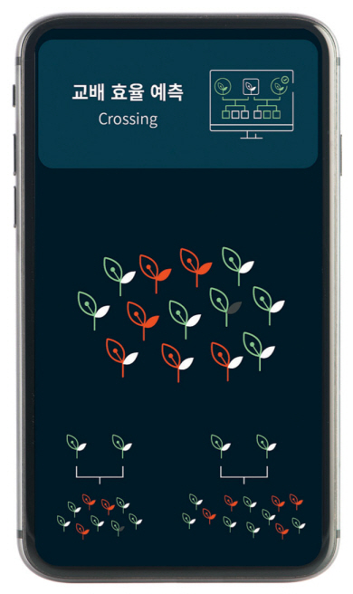 최근 종자 산업 고부가가치화 등을 위해 첨단 육종 기술인 디지털 육종 기술이 도입되고 고도화하고 있다.  농림축산식품부 제공
