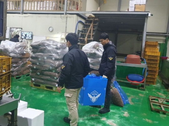 부안해경 형사2계가 중국산 바지락을 국내산 바지락으로 속여 판 유통업체를 압수수색하고 있다. 부안해경 제공