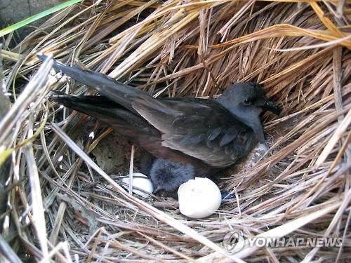 연합뉴스 자료사진