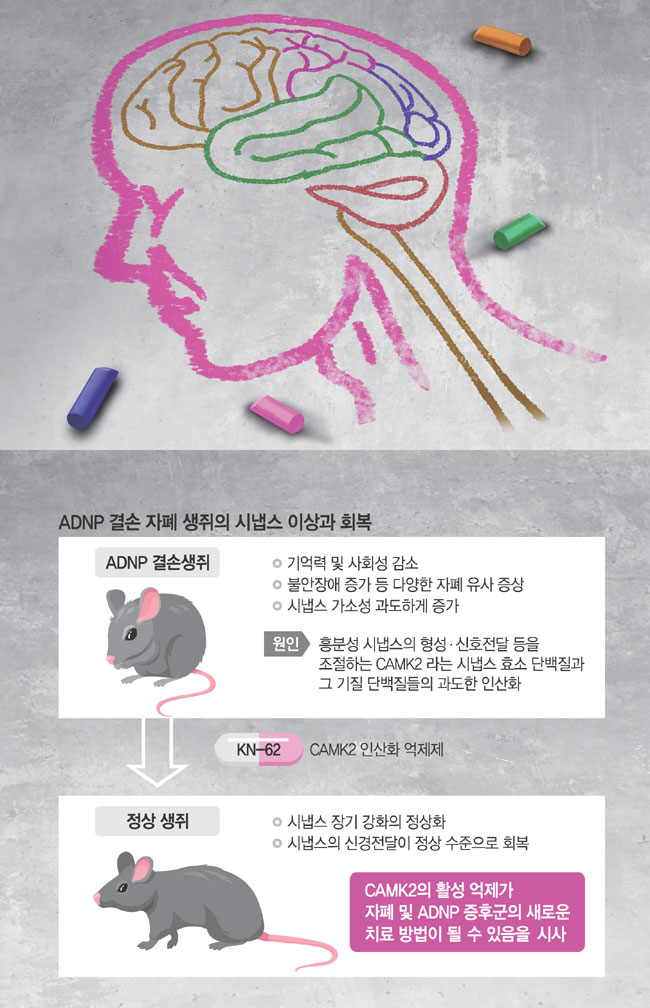 그래픽=하안송 기자