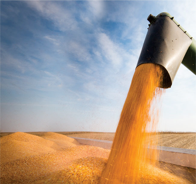 “‘메가 FTA 시대’ 위기를 기회로… 농민보호 강화·신사업 나서야”[FTA 경쟁력, 농업의 미래산업화 이끈다]