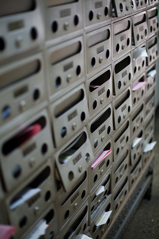 사진은 기사와 직접 관련이 없음. 게티이미지뱅크