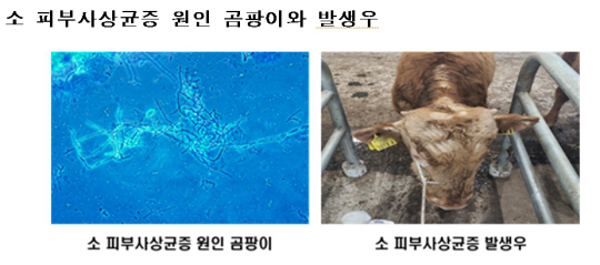 자료: 국립수산과학원