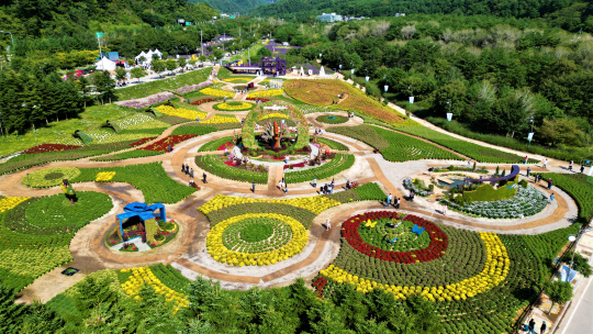 인제 가을꽃 축제장 전경. 인제군청 제공