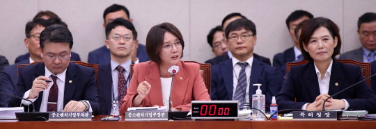 이영 중소벤처기업부 장관이 12일 오전 서울 영등포구 여의동 국회에서 열린 산업통상자원중소벤처기업위원회의 중소벤처기업부 등에 대한 국정감사에서 의원 질의에 답변하고 있다. 뉴시스