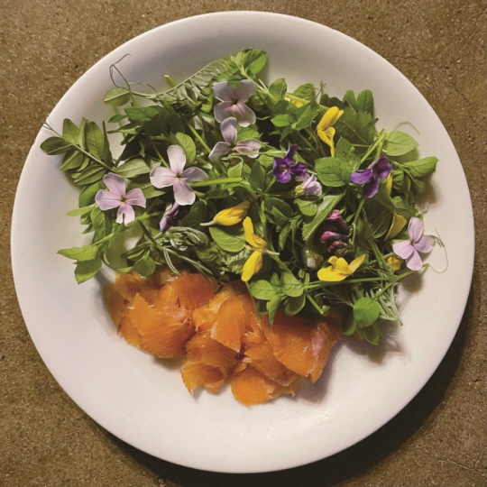 야생초와 잡은 연어로 만든 샐러드. 부키 제공. 연합뉴스