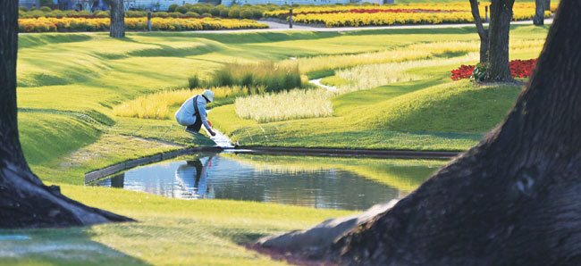 국제정원박람회 폐막을 불과 열흘여 앞둔 순천만국가정원에는 지금 형형색색의 가을꽃이 화려한 폭죽처럼 터지고 있다. 사진은 국화꽃을 가득 심어놓은 노을정원의 물길.