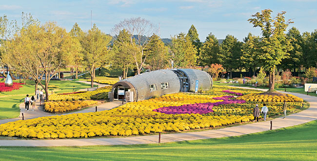 국제정원박람회의 조형적인 정원 건축물과 국화꽃밭이 어우러진 모습.
