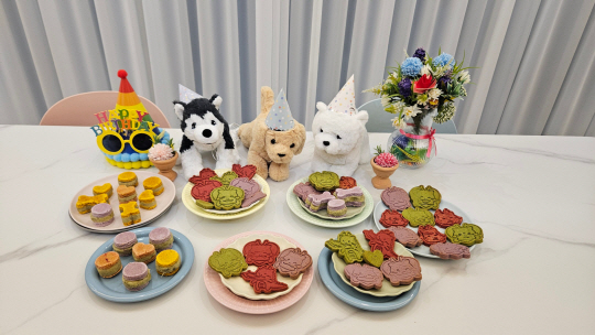 반려동물 수제간식 판매점인 ‘더 건강하개’가 21일부터 유기견을 위한 간식 기부 프로그램 운영을 시작한다. 사진은 반려동물 수제간식. 용인시청 제공