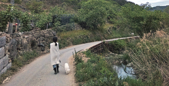 엄마가 강아지 호와 함께 천안집 인근을 산책하는 모습.