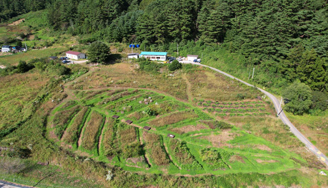 영월 상동의 농업공동체 ‘밭멍’이 가꾸는 밭.