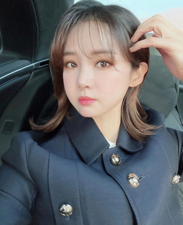 뉴시스
