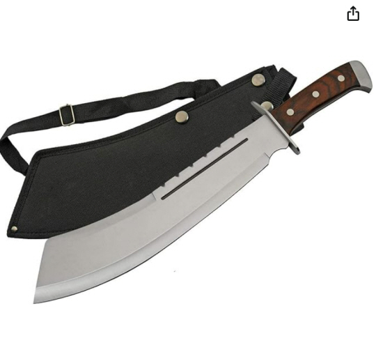 정글도 사진. 기사와 직접 관련이 없는 사진. 아마존 홈페이지 캡처.