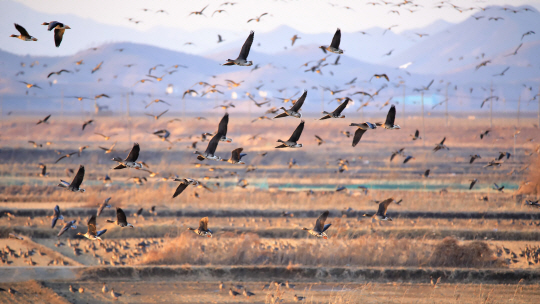 게티이미지뱅크