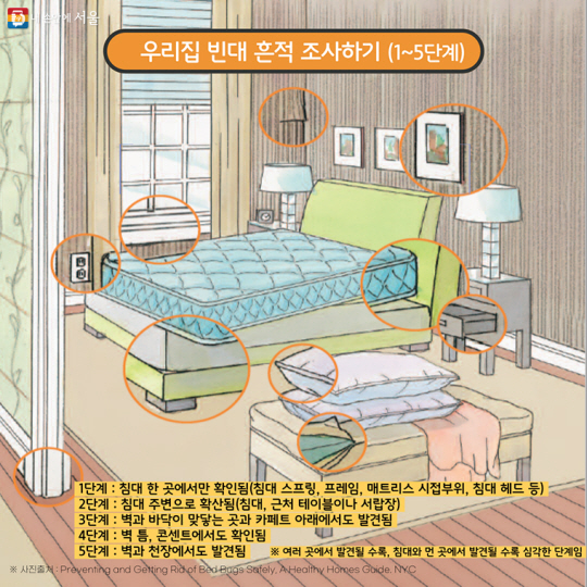 집에서 빈대 흔적 조사하는 방법. 서울시 홈페이지 캡처