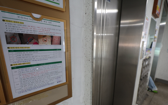 빈대 공포가 이어지고 있는 8일 서울 한 아파트 단지에 빈대 관련 안내문이 붙어 있다. 뉴시스