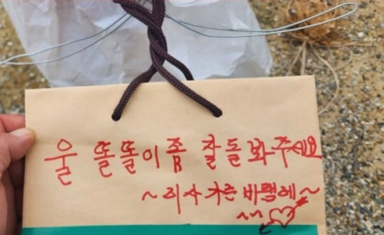 동물보호연대 SNS 캡처.