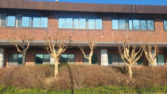 서울대공원에 심어진 배롱나무에 보온형 옷이 입혀졌다. 서울시청 제공